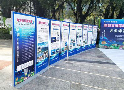 石门KT板的种类和知识。